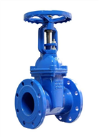 明桿球墨鑄鐵軟密封閘閥