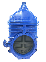 大口徑彈性座封閘閥